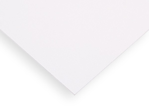 PALCLAD PRO PVC WALL CLADDING SYSTEM PANEL | WHITE Plastic Sheet